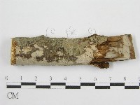 登錄號:F0011999藏品圖，第1張