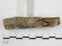 登錄號:F0011999藏品圖，第5張
