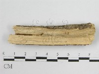 登錄號:F0012000藏品圖，第4張