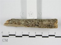 登錄號:F0012000藏品圖，第5張