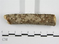 登錄號:F0012000藏品圖，第6張