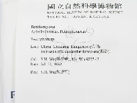 筍殼菌屬藏品圖，第2張