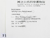 筍殼菌屬藏品圖，第2張