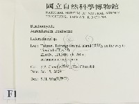 刺皮菌屬藏品圖，第2張