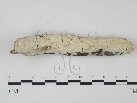 登錄號:F0012005藏品圖，第1張