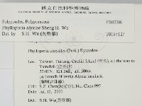 登錄號:F0012006藏品圖，第2張