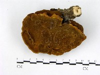 登錄號:F0012006藏品圖，第3張