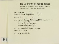 登錄號:F0012007藏品圖，第2張