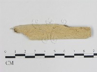 登錄號:F0012007藏品圖，第1張