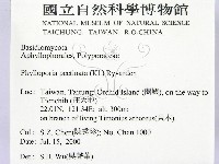 登錄號:F0012008藏品圖，第2張