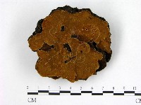 登錄號:F0012008藏品圖，第1張