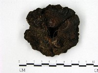 登錄號:F0012008藏品圖，第3張
