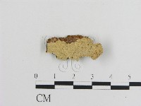登錄號:F0012011藏品圖，第1張