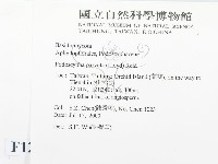 登錄號:F0012013藏品圖，第2張