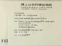 登錄號:F0012016藏品圖，第2張