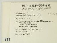 登錄號:F0012017藏品圖，第2張