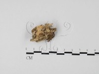 登錄號:F0012017藏品圖，第1張
