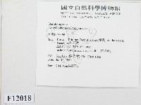 多孔菌屬藏品圖，第2張