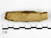 登錄號:F0012023藏品圖，第1張