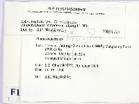 登錄號:F0012024藏品圖，第2張