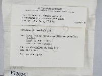 登錄號:F0012025藏品圖，第2張