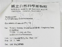 登錄號:F0012025藏品圖，第3張