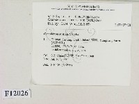 登錄號:F0012026藏品圖，第2張