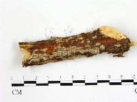 登錄號:F0012027藏品圖，第1張