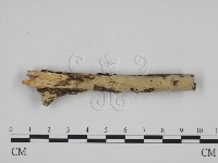 登錄號:F0012028藏品圖，第3張