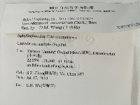 登錄號:F0012029藏品圖，第2張