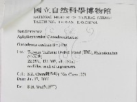 登錄號:F0012029藏品圖，第3張