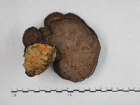 登錄號:F0012029藏品圖，第4張