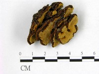 登錄號:F0012032藏品圖，第1張