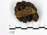 登錄號:F0012032藏品圖，第3張