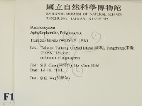 登錄號:F0012033藏品圖，第2張