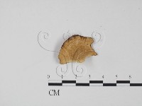 登錄號:F0012033藏品圖，第1張