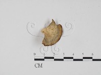 登錄號:F0012033藏品圖，第3張