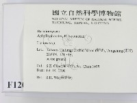 登錄號:F0012034藏品圖，第2張