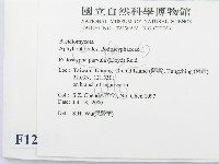 登錄號:F0012035藏品圖，第2張