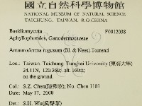 登錄號:F0012038藏品圖，第2張
