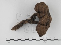 登錄號:F0012038藏品圖，第1張