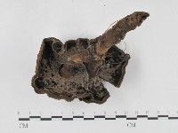 登錄號:F0012038藏品圖，第3張