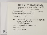 栓菌屬藏品圖，第2張