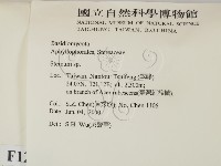 韌革菌屬藏品圖，第2張
