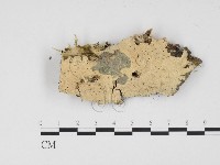 登錄號:F0012042藏品圖，第1張