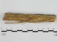 登錄號:F0012043藏品圖，第1張