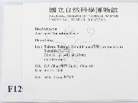 登錄號:F0012046藏品圖，第2張