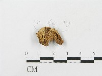 登錄號:F0012046藏品圖，第1張