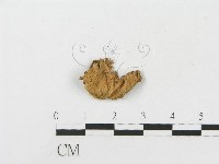 登錄號:F0012046藏品圖，第3張