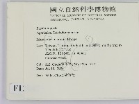 登錄號:F0012047藏品圖，第2張